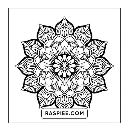 250 Mandala Adult Coloring Pages Vol.3