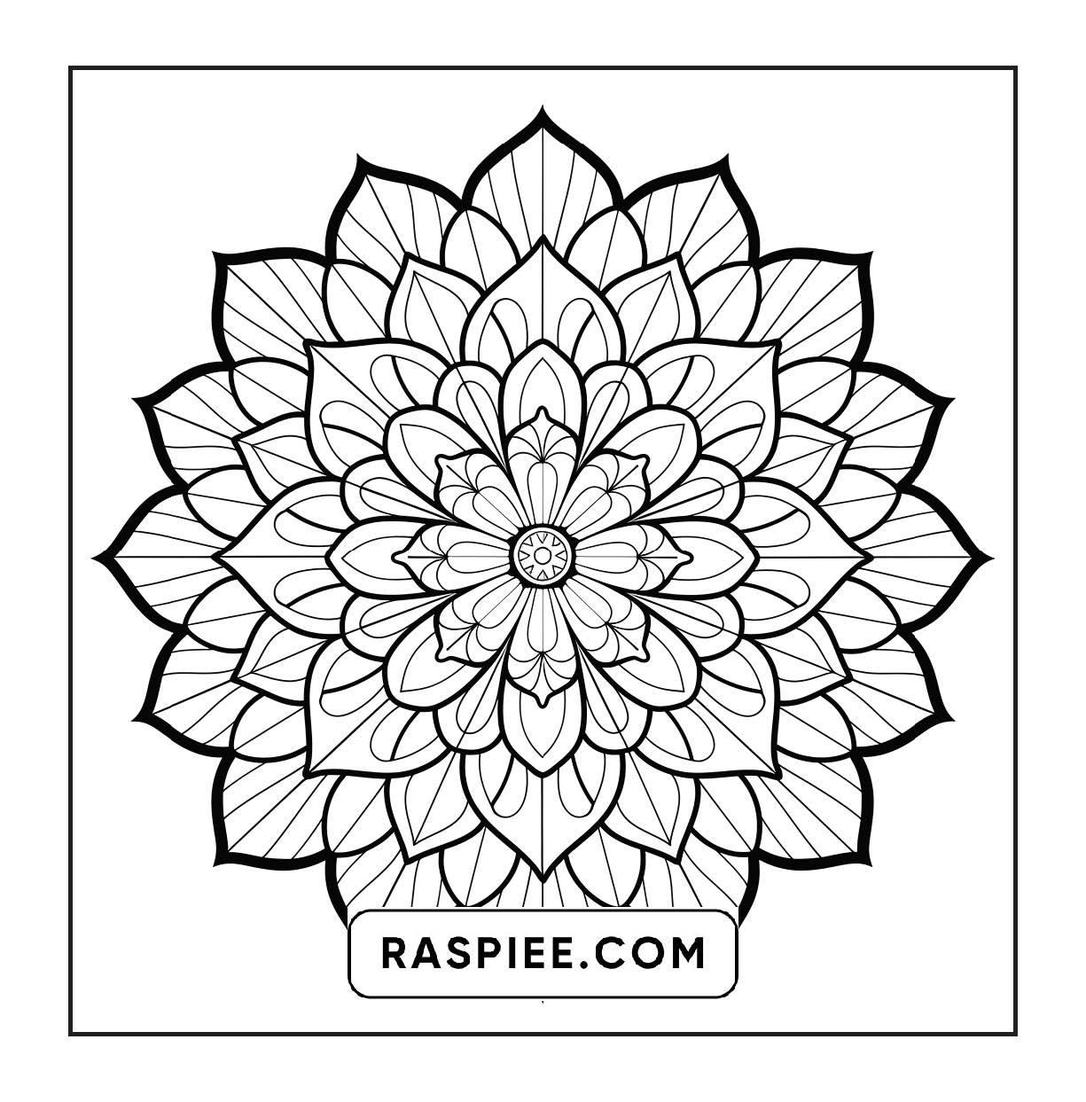 250 Mandala Adult Coloring Pages Vol.3