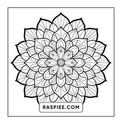 250 Mandala Adult Coloring Pages Vol.3