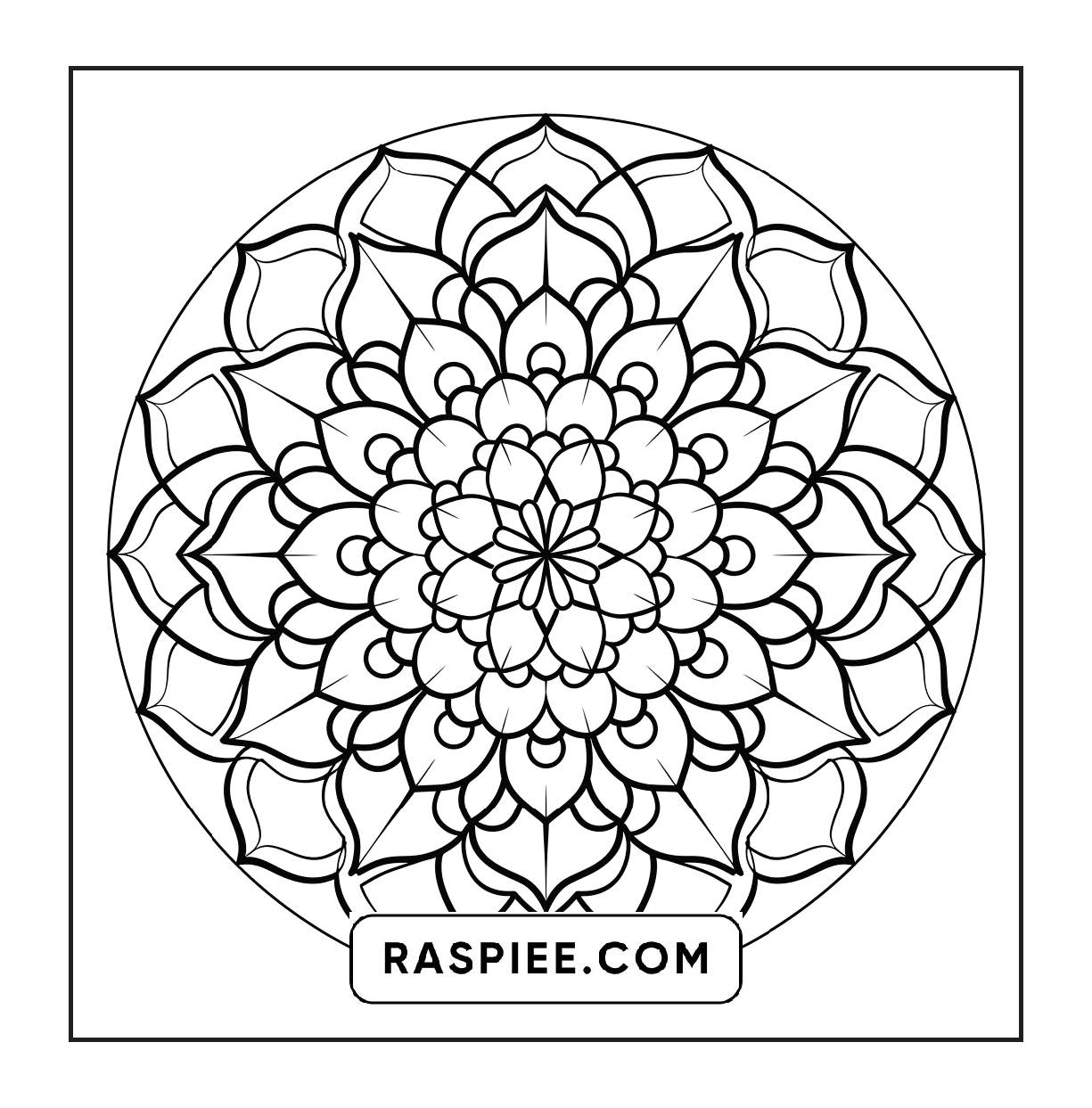 250 Mandala Adult Coloring Pages Vol.3