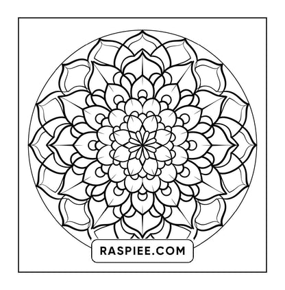 250 Mandala Adult Coloring Pages Vol.3