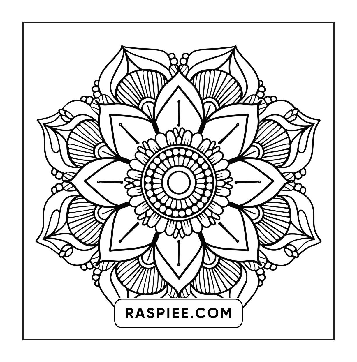 250 Mandala Adult Coloring Pages Vol.3