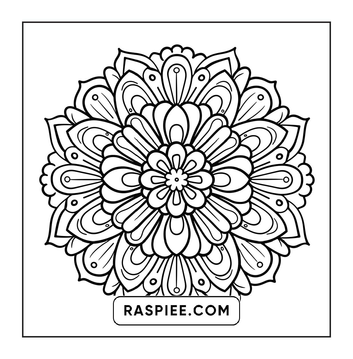 250 Mandala Adult Coloring Pages Vol.3