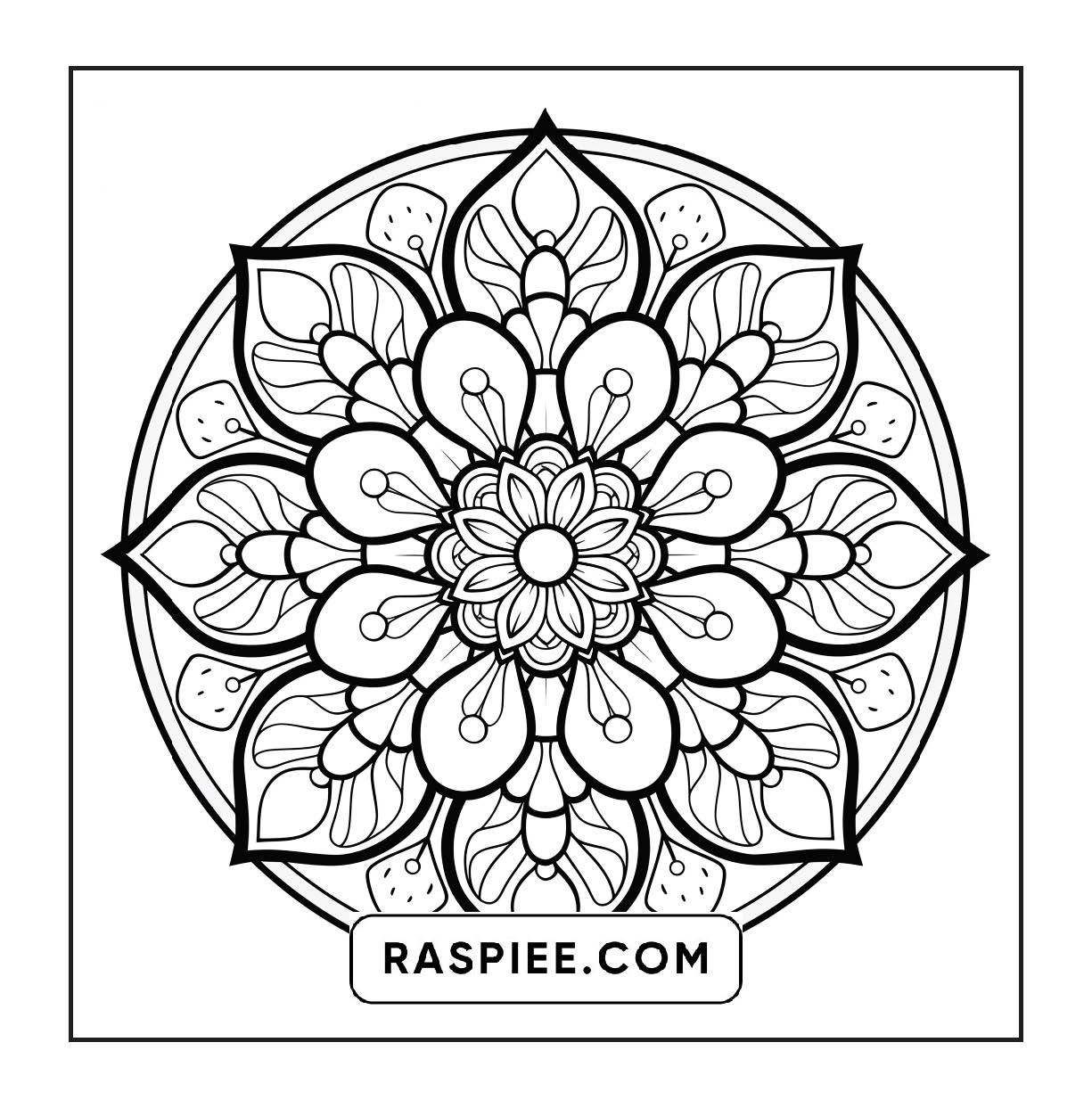 250 Mandala Adult Coloring Pages Vol.3