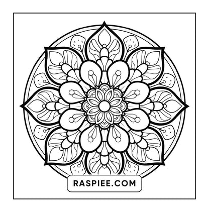 250 Mandala Adult Coloring Pages Vol.3