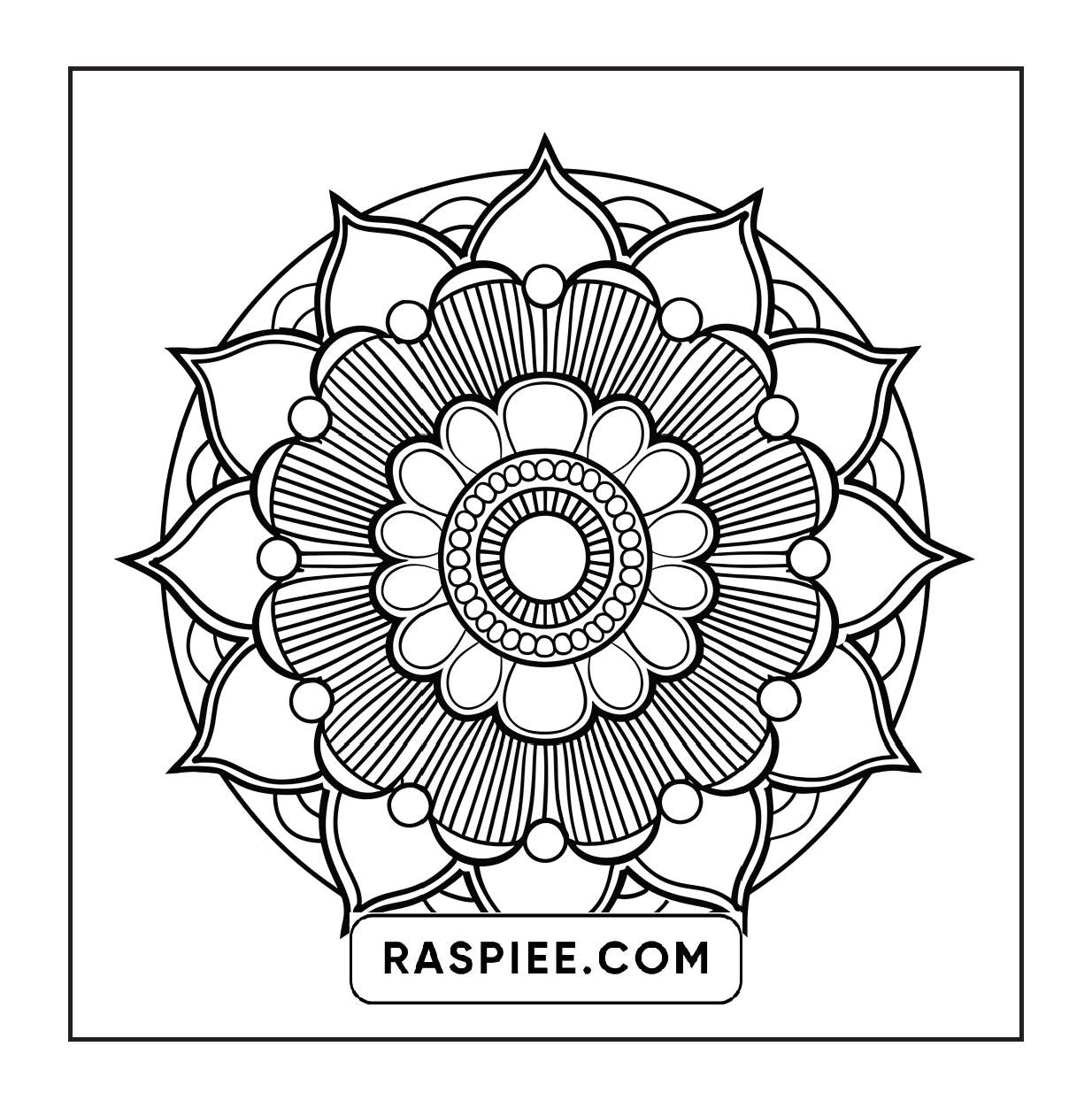 250 Mandala Adult Coloring Pages Vol.3