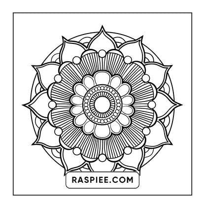 250 Mandala Adult Coloring Pages Vol.3