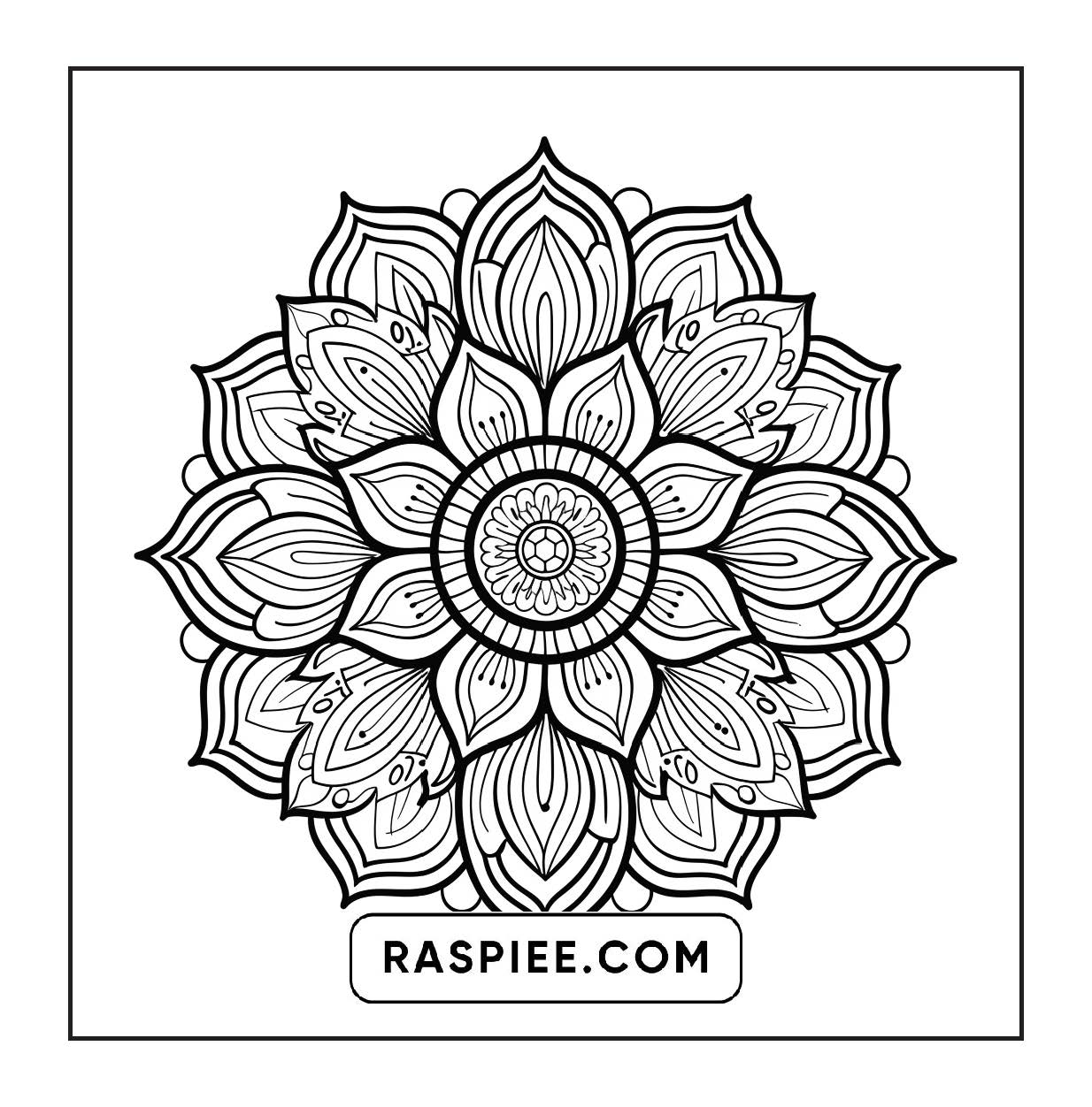 250 Mandala Adult Coloring Pages Vol.3