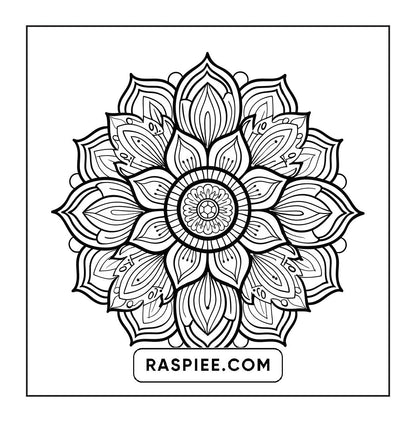 250 Mandala Adult Coloring Pages Vol.3