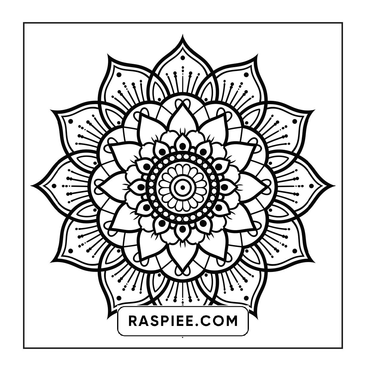250 Mandala Adult Coloring Pages Vol.3