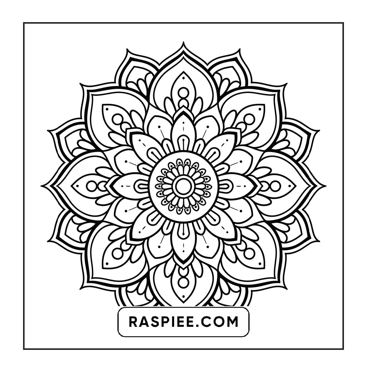 250 Mandala Adult Coloring Pages Vol.3