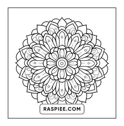 250 Mandala Adult Coloring Pages Vol.3