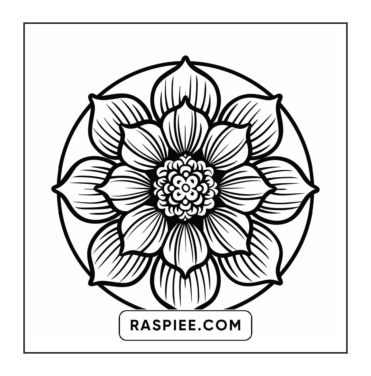 250 Mandala Adult Coloring Pages Vol.3
