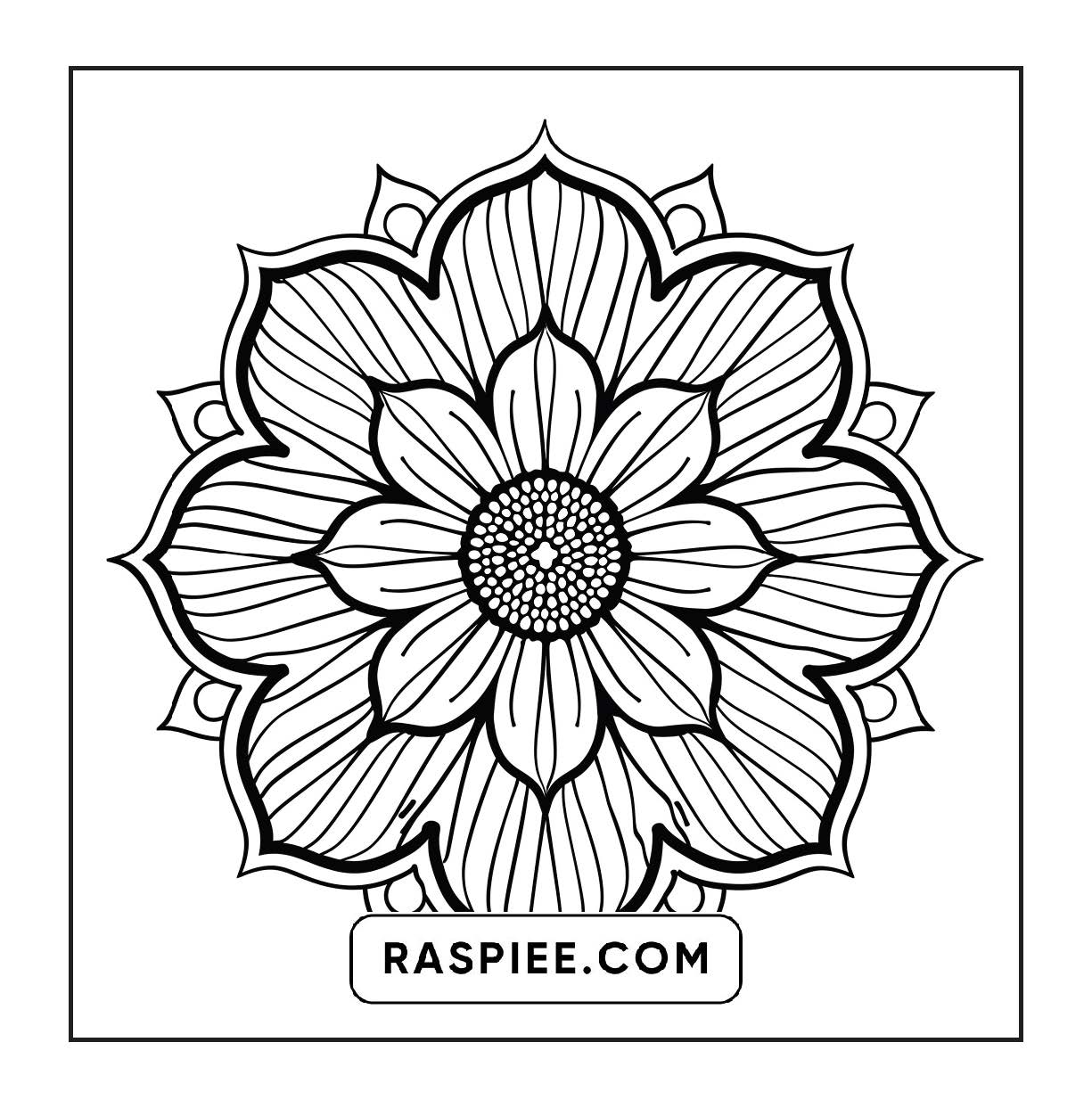 250 Mandala Adult Coloring Pages Vol.3