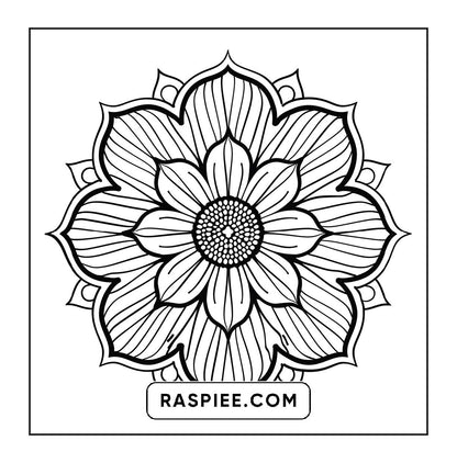 250 Mandala Adult Coloring Pages Vol.3