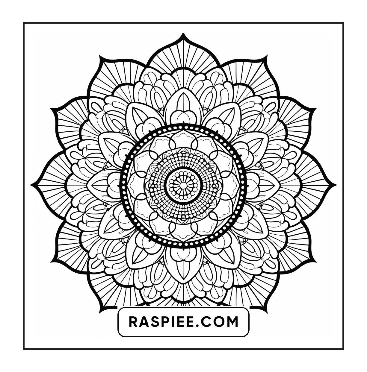 250 Mandala Adult Coloring Pages Vol.3