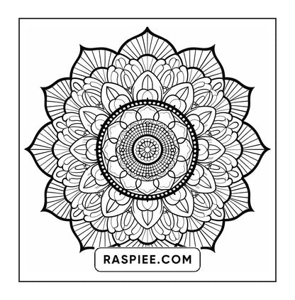 250 Mandala Adult Coloring Pages Vol.3