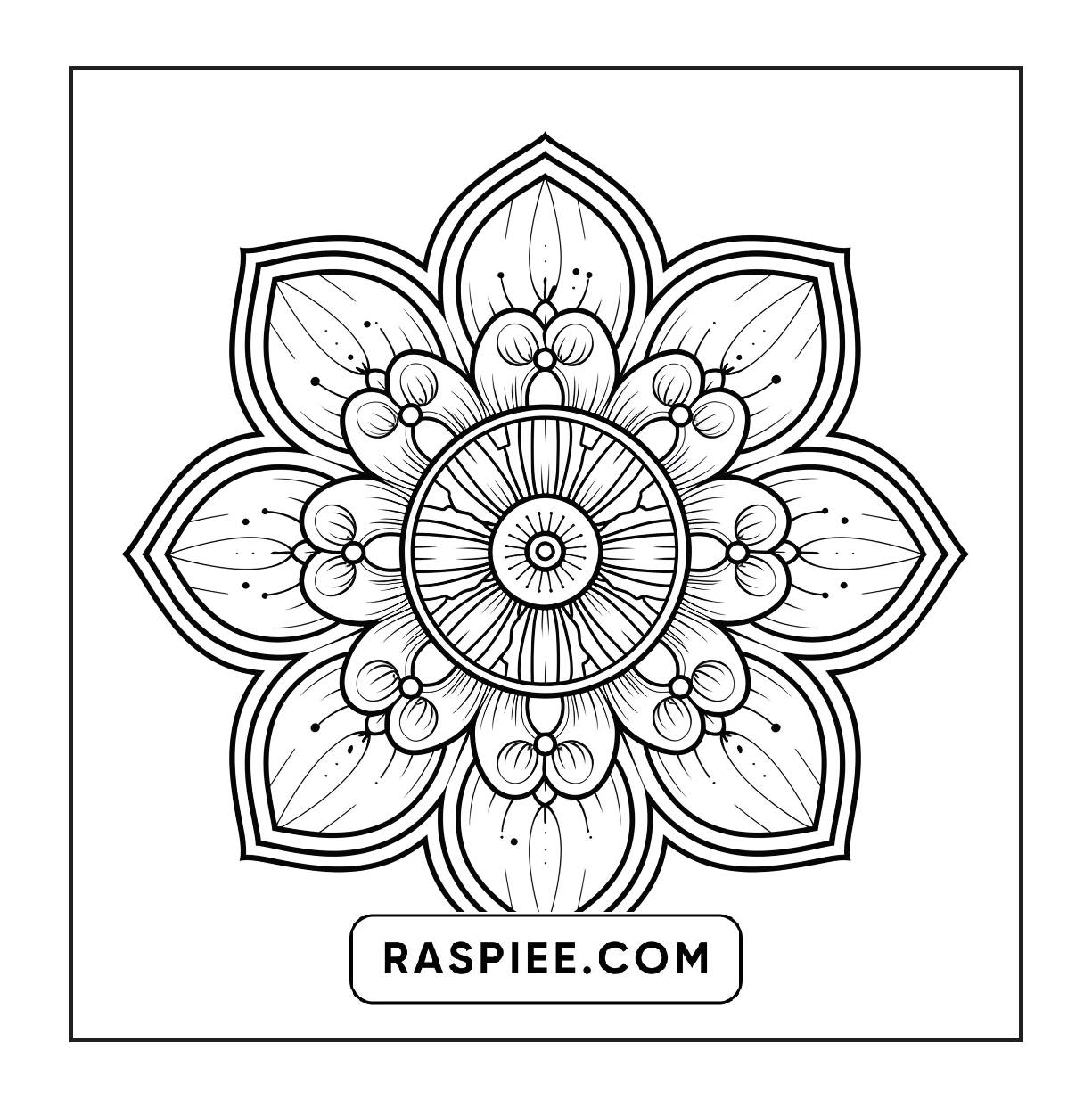 250 Mandala Adult Coloring Pages Vol.3