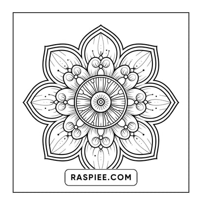 250 Mandala Adult Coloring Pages Vol.3