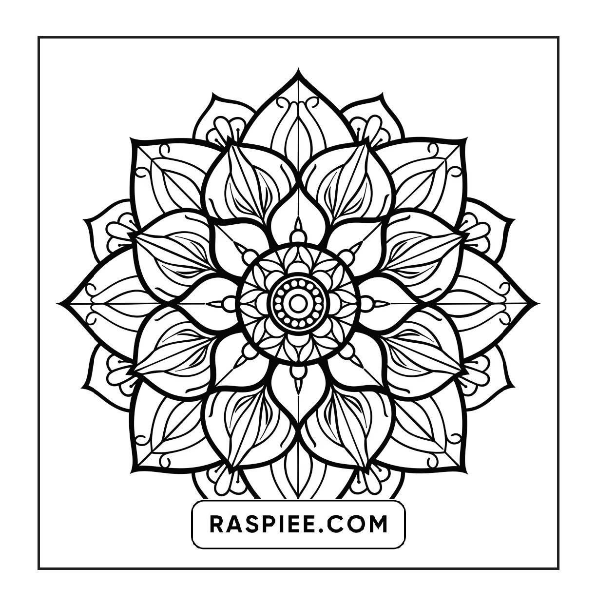 250 Mandala Adult Coloring Pages Vol.3
