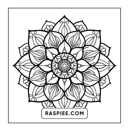 250 Mandala Adult Coloring Pages Vol.3
