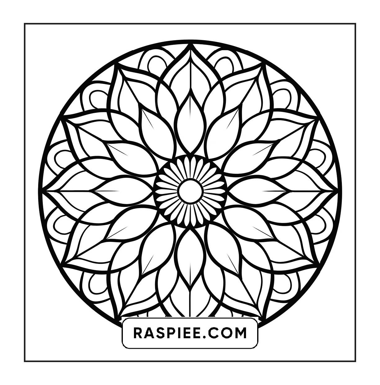 250 Mandala Adult Coloring Pages Vol.3