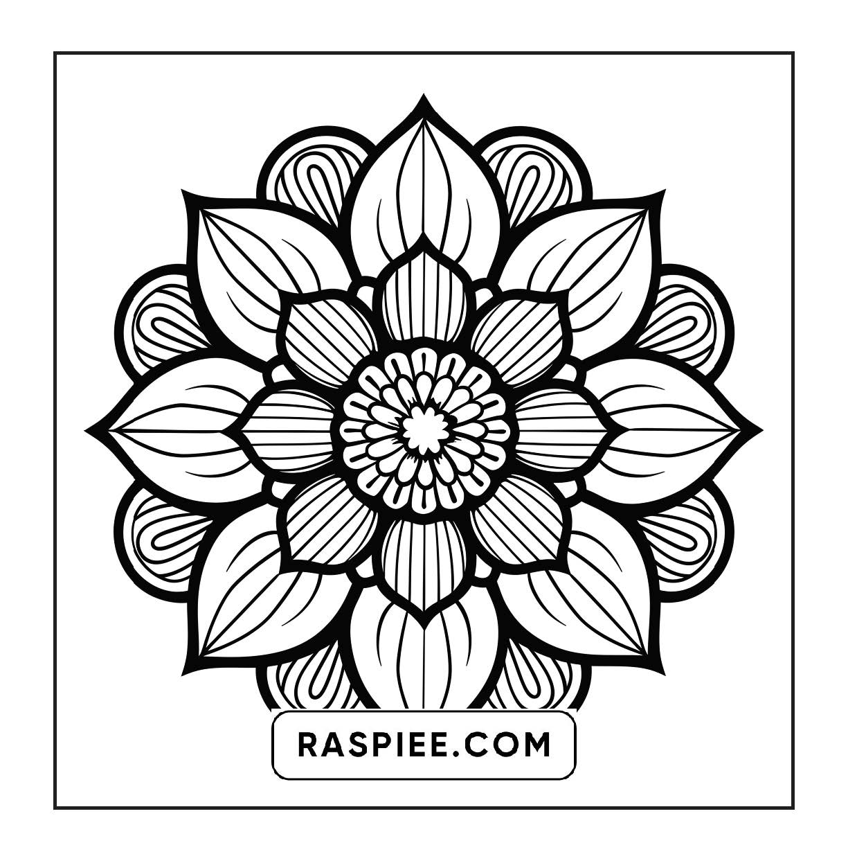 250 Mandala Adult Coloring Pages Vol.3