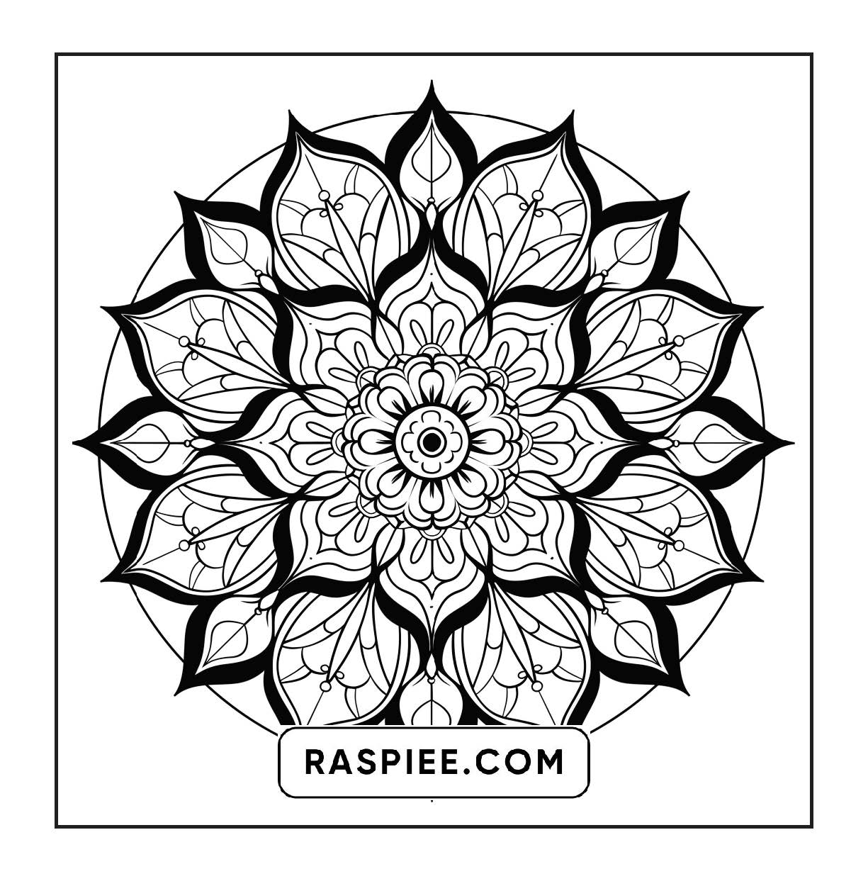 250 Mandala Adult Coloring Pages Vol.3