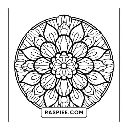 250 Mandala Adult Coloring Pages Vol.3