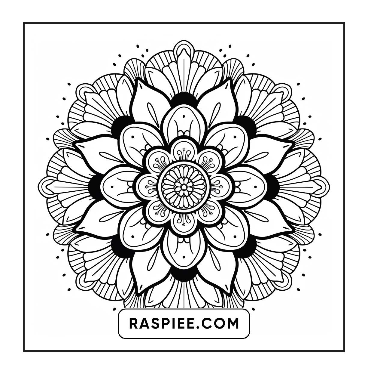 250 Mandala Adult Coloring Pages Vol.3