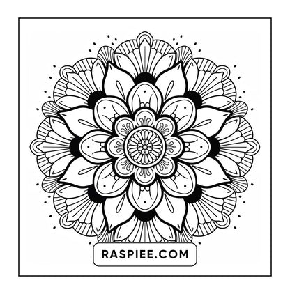 250 Mandala Adult Coloring Pages Vol.3
