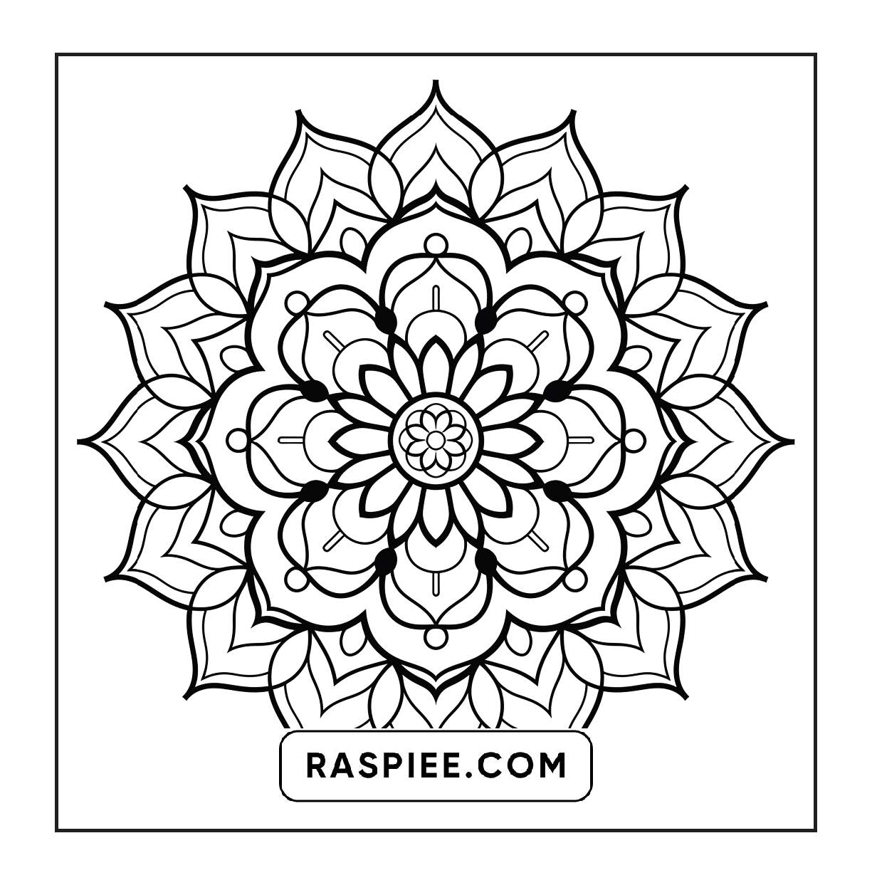 250 Mandala Adult Coloring Pages Vol.3