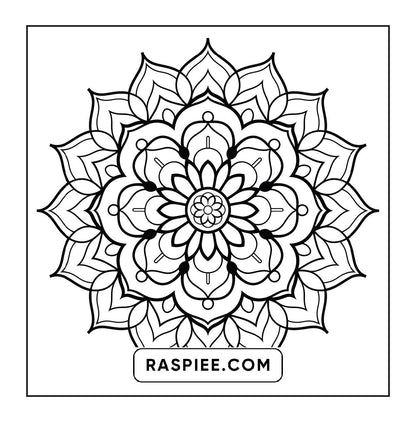 250 Mandala Adult Coloring Pages Vol.3