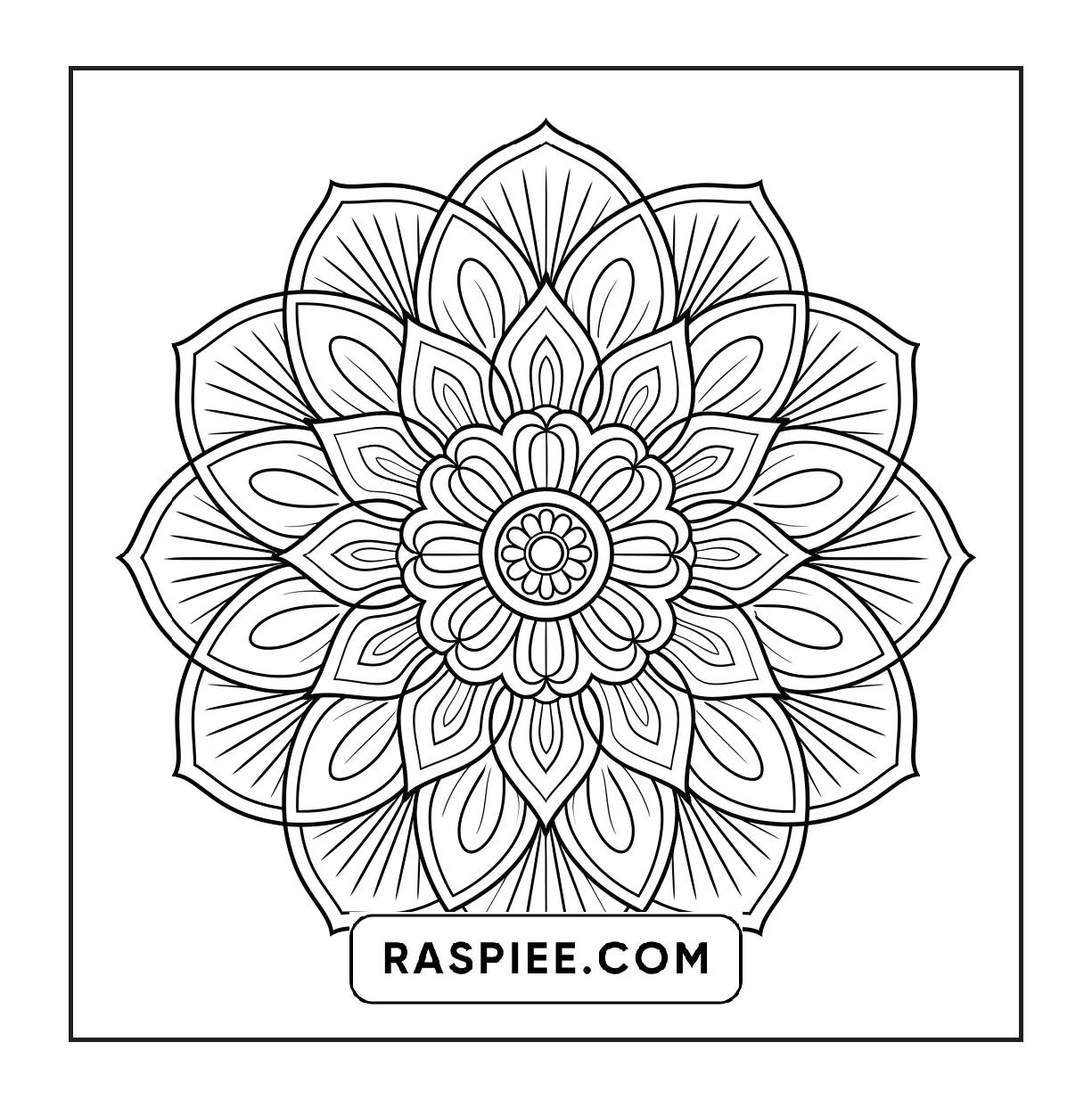 250 Mandala Adult Coloring Pages Vol.3