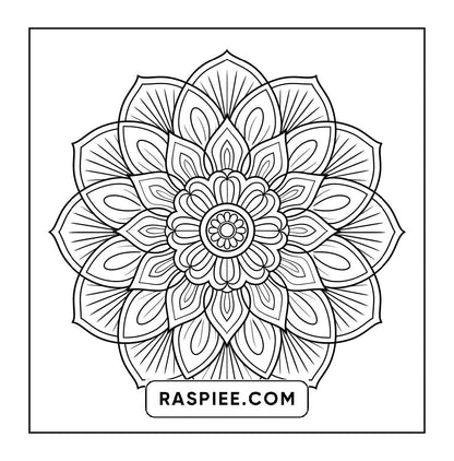 250 Mandala Adult Coloring Pages Vol.3
