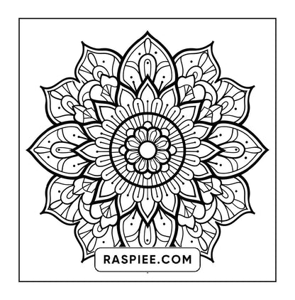 250 Mandala Adult Coloring Pages Vol.3