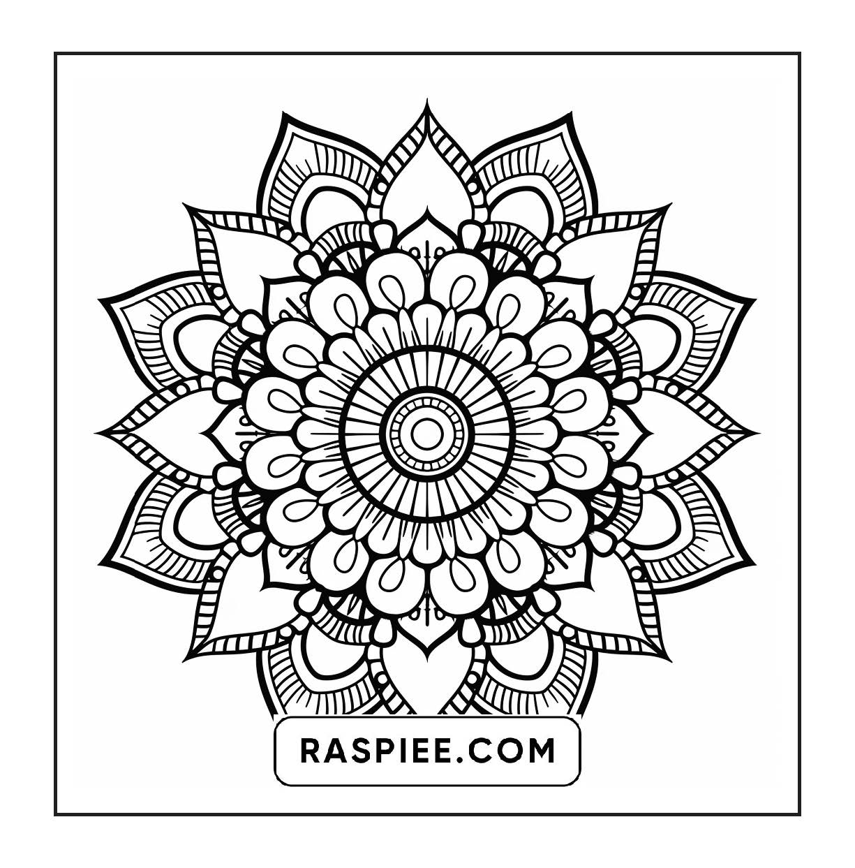 250 Mandala Adult Coloring Pages Vol.3