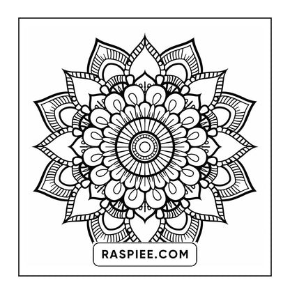 250 Mandala Adult Coloring Pages Vol.3