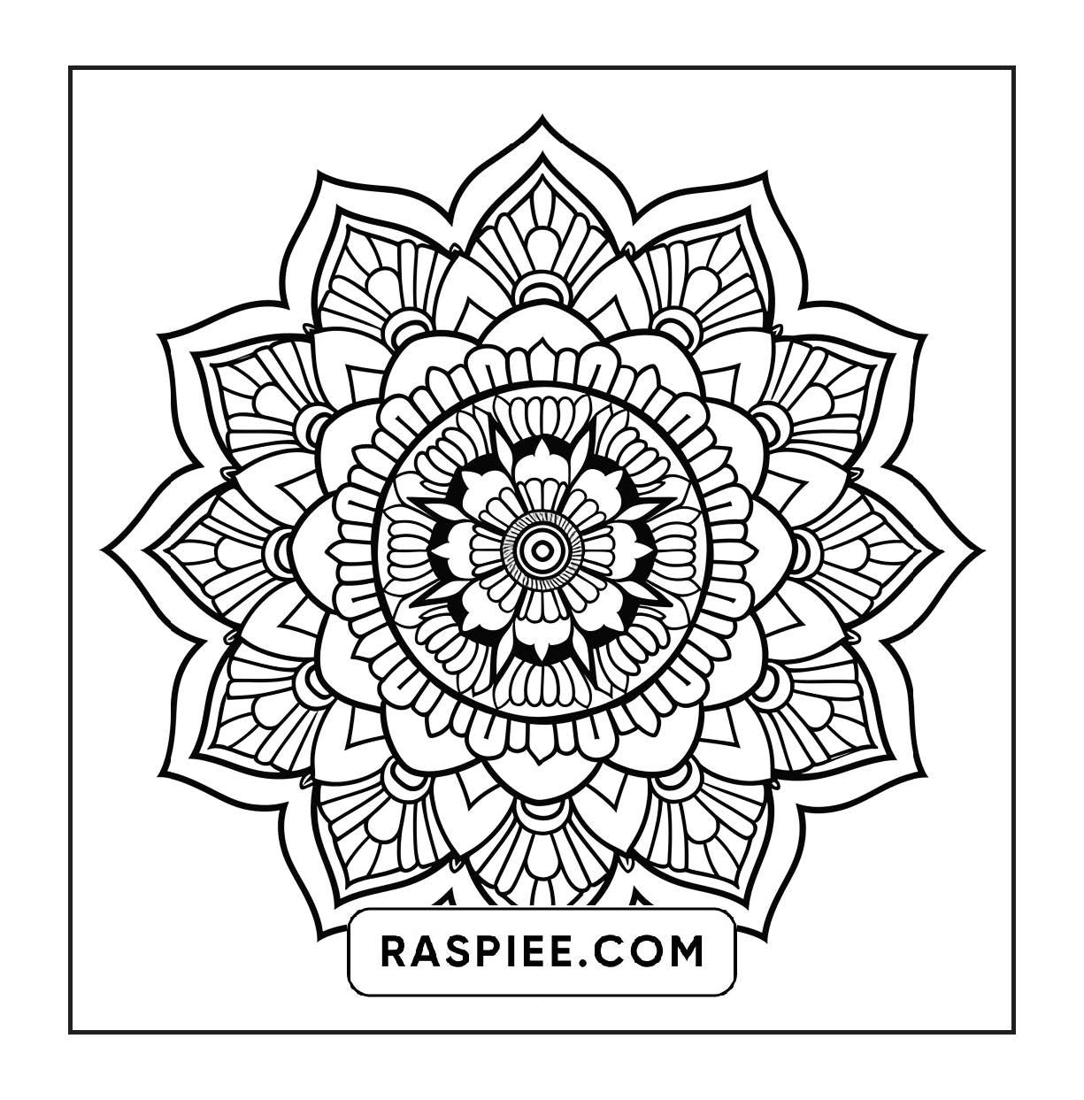 250 Mandala Adult Coloring Pages Vol.3