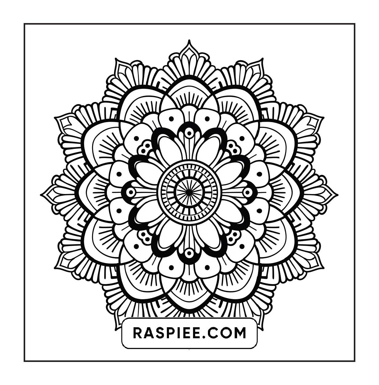 250 Mandala Adult Coloring Pages Vol.3