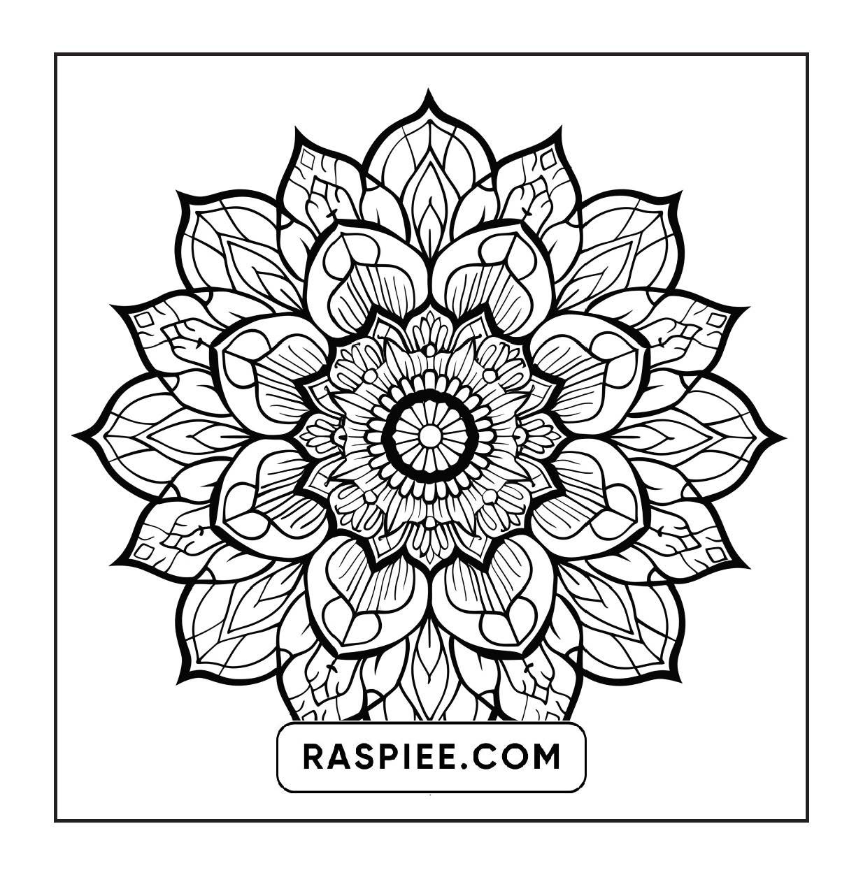 250 Mandala Adult Coloring Pages Vol.3