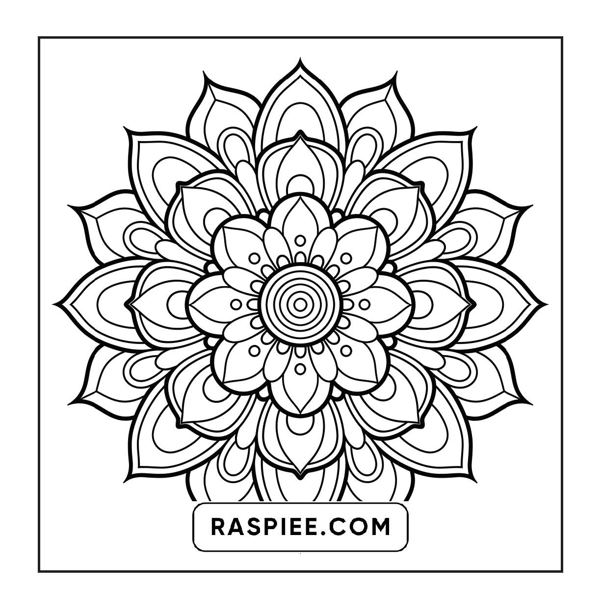 250 Mandala Adult Coloring Pages Vol.3