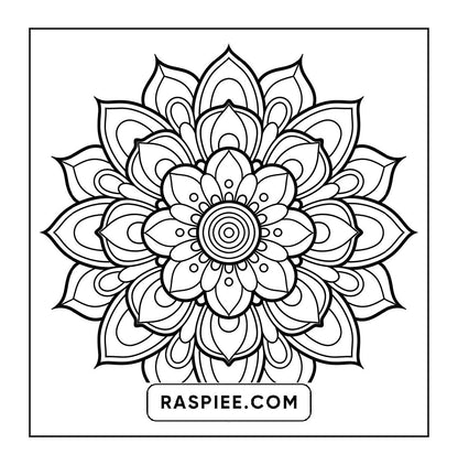 250 Mandala Adult Coloring Pages Vol.3