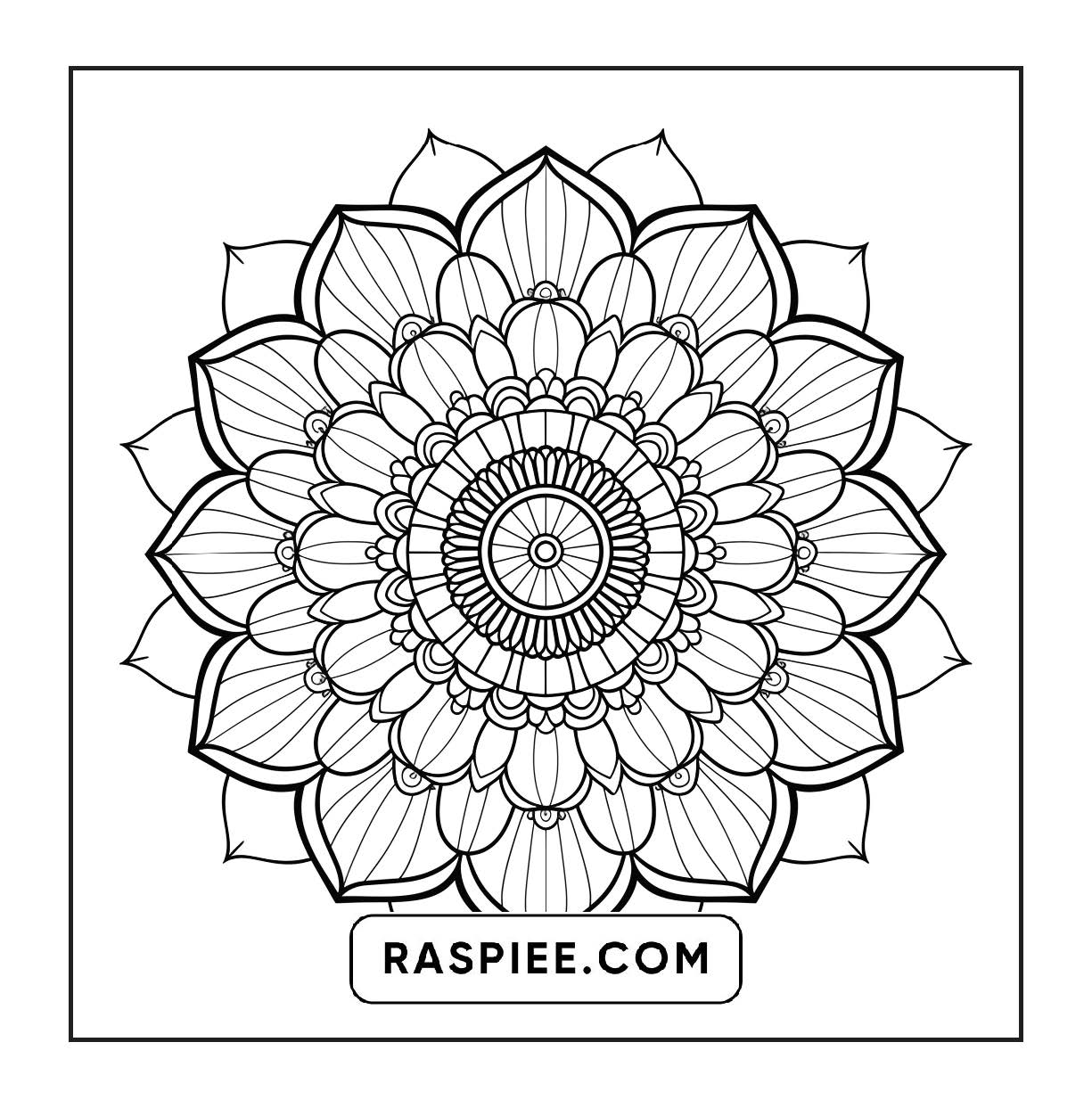 250 Mandala Adult Coloring Pages Vol.3