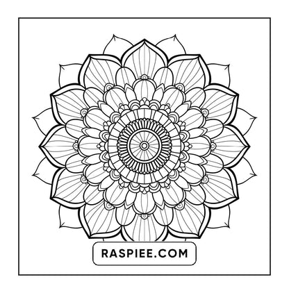 250 Mandala Adult Coloring Pages Vol.3