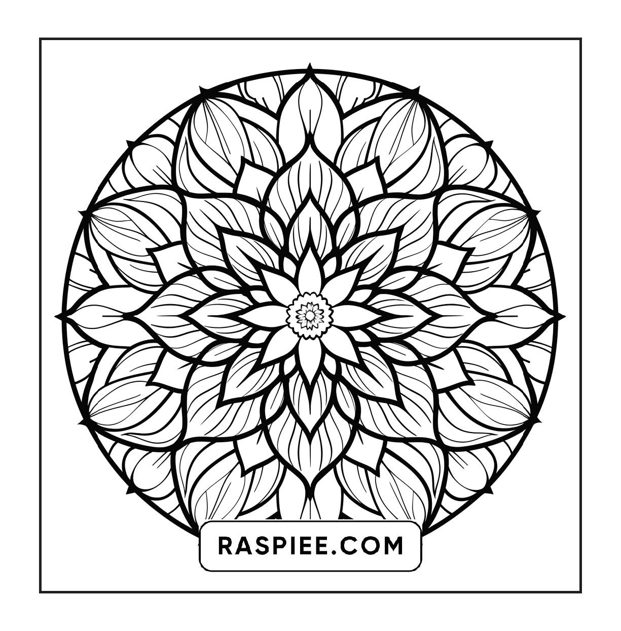 250 Mandala Adult Coloring Pages Vol.3