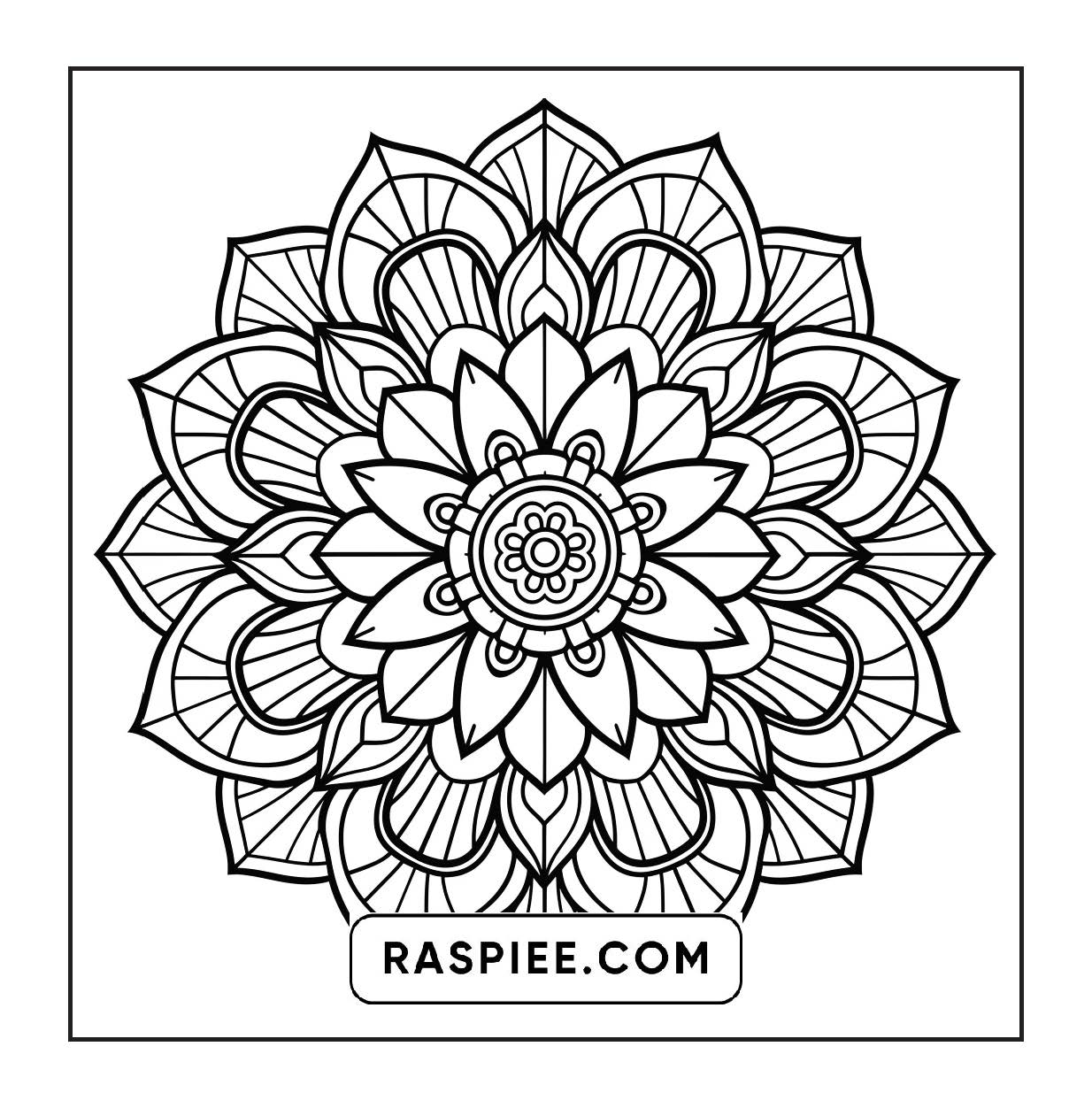250 Mandala Adult Coloring Pages Vol.3
