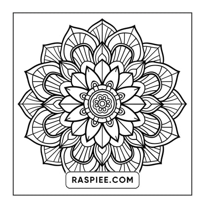250 Mandala Adult Coloring Pages Vol.3