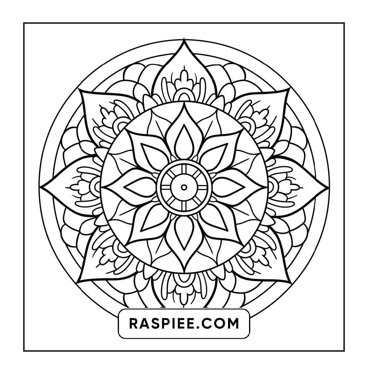 250 Mandala Adult Coloring Pages Vol.3