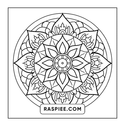 250 Mandala Adult Coloring Pages Vol.3